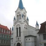 sapjubaznica3_b